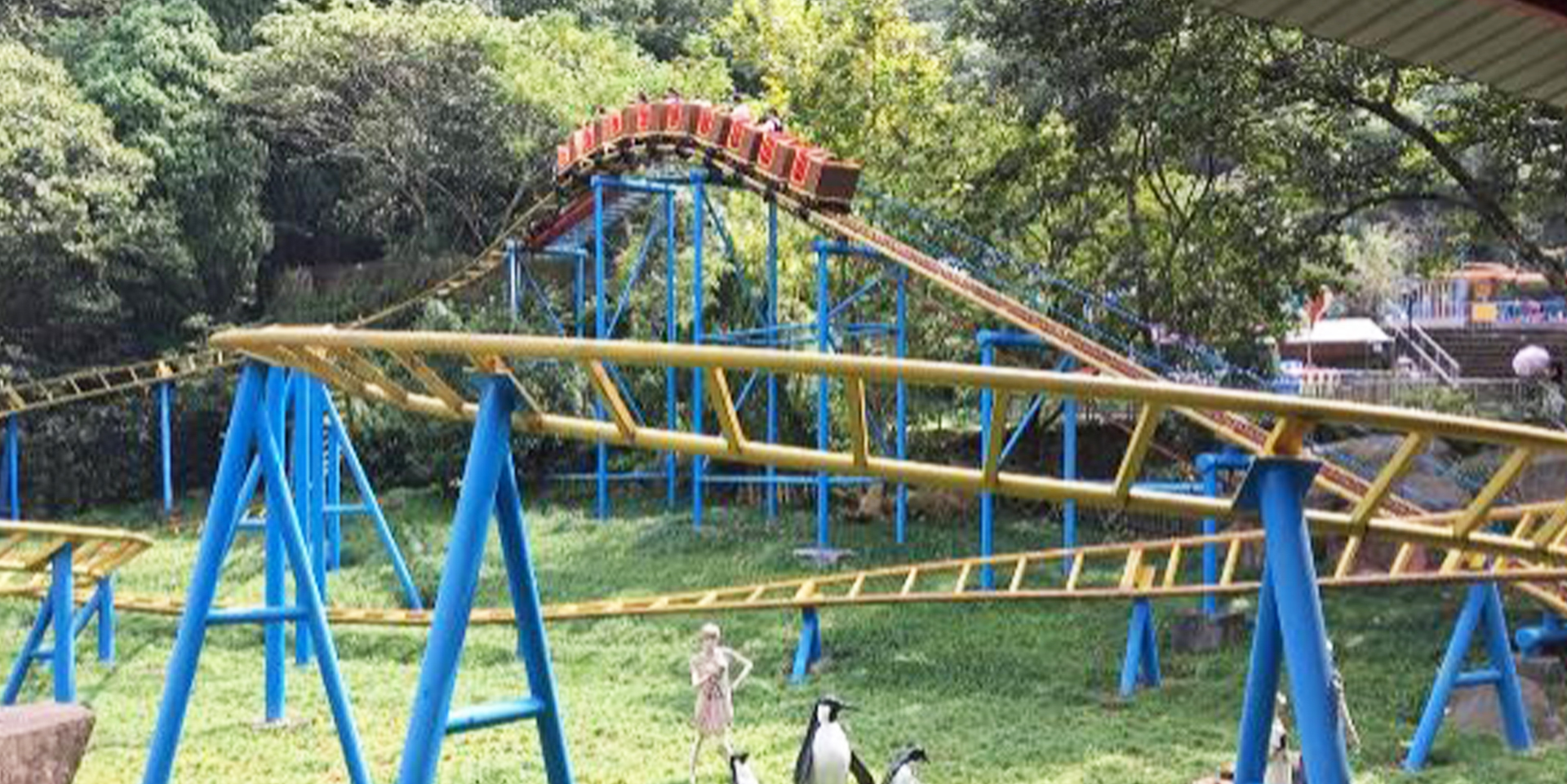 家庭过山车（Ⅳ）